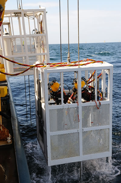 Divers arrive back on board after a stint underwater at the wind farm.